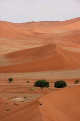 Sesriem and Sossusvlei sand  dunes Namib-Naukluft National Park, Namibia.