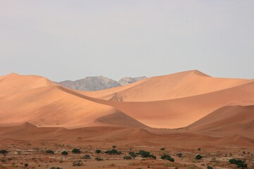 Fototapeta na wymiar Namib-Naukluft National Park sand dunes and landscape, Namibia.