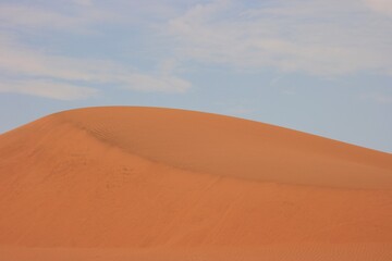 Fototapeta na wymiar Perfect sand dunes patterns and landscape Namib-Naukluft National Park, Namibia.