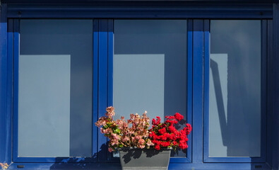 Exterior view of a blue wooden window with the shutter almost fully open adorned with a pot of red and pink flowers