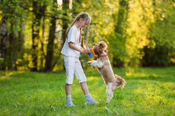 Fototapeta premium A girl runs and plays in a green park with her shih tzu dog. Child on a walk training small dog on sunny nature background. Creative Image With Child Playing Poppit Fidget Toy