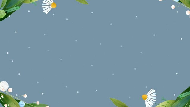 hand painted daisy and dandelion foliage floral white flowers abstract elements in soft blue background illustration for summer spring loop animation