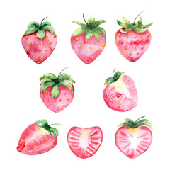 Watercolor illustration. A set of ripe strawberries, whole berries and halves.