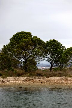 Bateau &agrave; voile voilier entres les arbres &agrave; la mer - tourisme voyage vacance