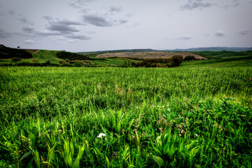 Obraz premium Lovely Tuscany landscapes