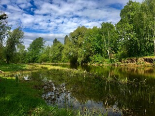 lake in the forest