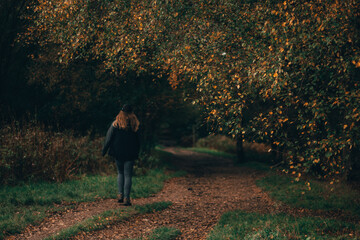 Fototapeta premium gliding through autumn leaves in a forest