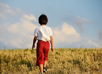 Happy kid on beautiful field