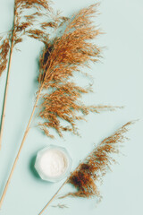 cream jar and dry bulrush branches on blue background. © Simonforstock