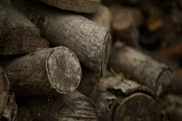 stack of firewood