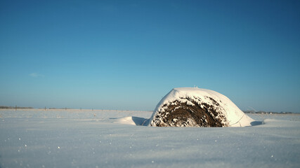bale in winter farm field