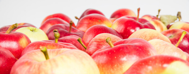 Multicolored fresh apples on a white background close-up. Selective focus.