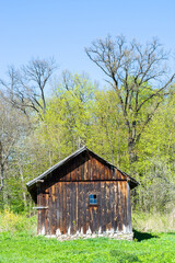 Obraz premium Old wooden house in summer forest