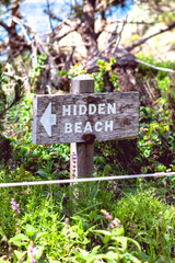Hidden beach in Point Lobos, California