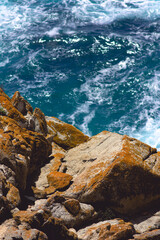 Rocks, the ocean, and lichen in point lobos, California