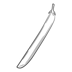 Bean Pod. A vegetable in a linear style, drawn by hand. Food ingredient, design element.Lineart. Black and white vector illustration. Isolated on a white background