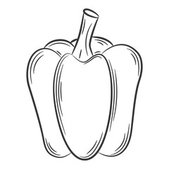 Paprika Pepper. A vegetable in a linear style, drawn by hand. Food ingredient, design element.Lineart. Black and white vector illustration. Isolated on a white background