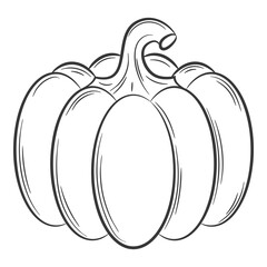 Whole pumpkin. A vegetable in a linear style, drawn by hand. Food ingredient, design element.Lineart. Black and white vector illustration. Isolated on a white background