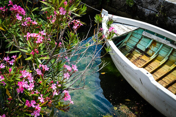 A boat on the water next to a flowering bush with pink flowers.