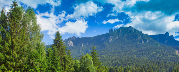 Fototapeta na wymiar Ceahlau mountain in summer landscape, Romania