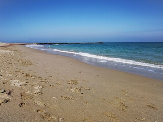 Beach and sea. Seaside landscape in the summer