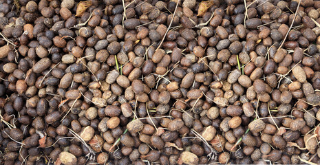 goat or sheep poop, natural fertilizer