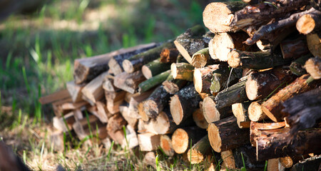 Chopped and sawn firewood on the grass with the glare of the sun. Village life, summer, cottage core, eco-friendly