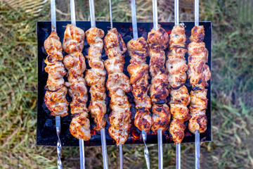 Fried chicken meat on skewers top view.