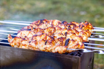 Meat fried on an open fire in the summer in the yard.