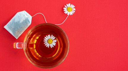 chamomile tea bag, herbal chamomile tea with fresh daisy flowers background, treatment and prevention of immune concept