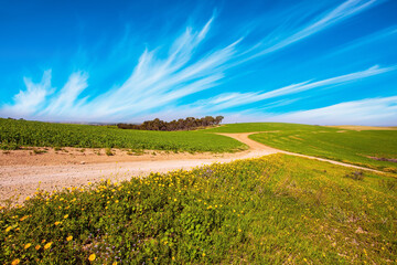 The dirt road crosses the valley