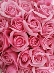 pink roses background