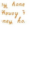 Kit for the international day of the bees. Lettering honey, honeycomb, jar, honey pot, bees, a drop flowing from the letter and a puddle under it.