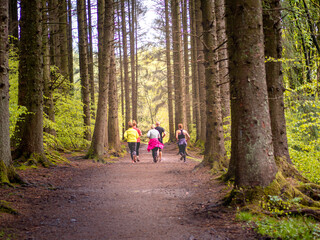 group of people jogging in the forest