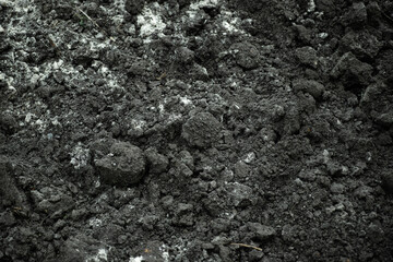 Soil background. Shallow depth of field. Close up.