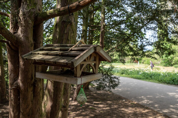 Naklejka premium Selective focus view at wooden birdhouse hang under tree in park.