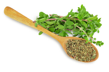 Oregano or marjoram leaves fresh and dry isolated on white background with clipping path. Top view with copy space for your text. Flat lay