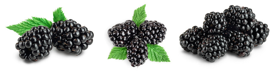 blackberry with leaf isolated on a white background closeup with full depth of field. Set or collection