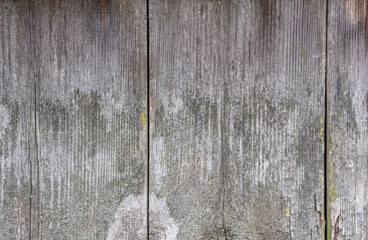 Old gray boards faded in the sun with scratches, spots, knots, mossiness.