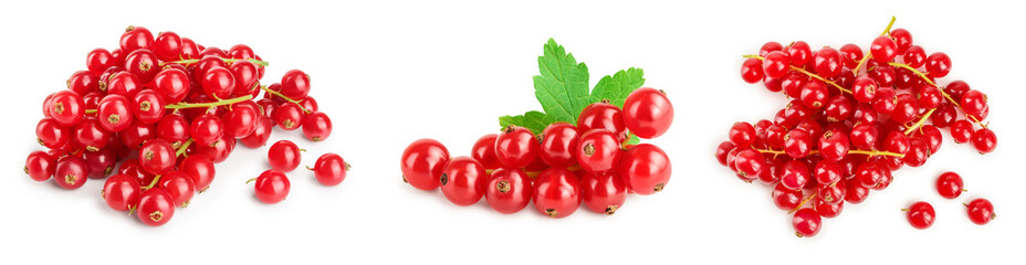 Red currant berries with leaf isolated on white background. Set or collection