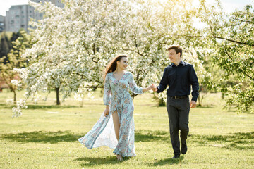 Fototapeta premium young beautiful couple walking in a blossoming cherry flowers tree.