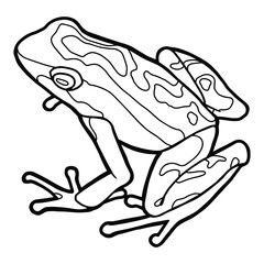 Little frog. Spotted poison dart frog. Coloring page. Black outline. 