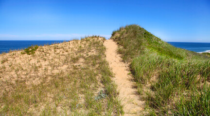 Beach Pathway to the Ocean on Cape Cod