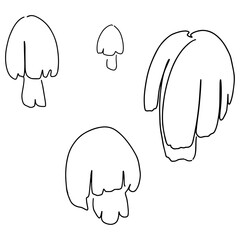 hand drawn Line art monoline flowers . Vector illustration