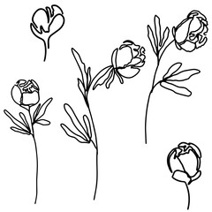 hand drawn Line art monoline flowers . Vector illustration