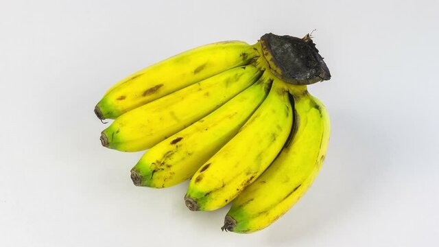 Bunch of bananas isolated and rotation on a white background
