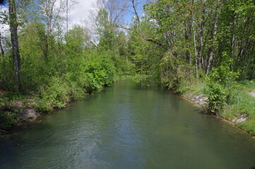 Lechauwald bei Unterbergen