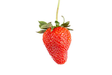 Strawberry on white background. Fresh sweet fruit closeup