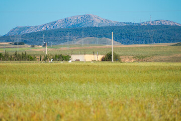scenic views of Houses, green fields and mountains from the  Aures region in Batna, Algeria