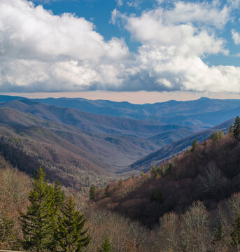 Winter Landscape, Great Smoky Mountains National Park